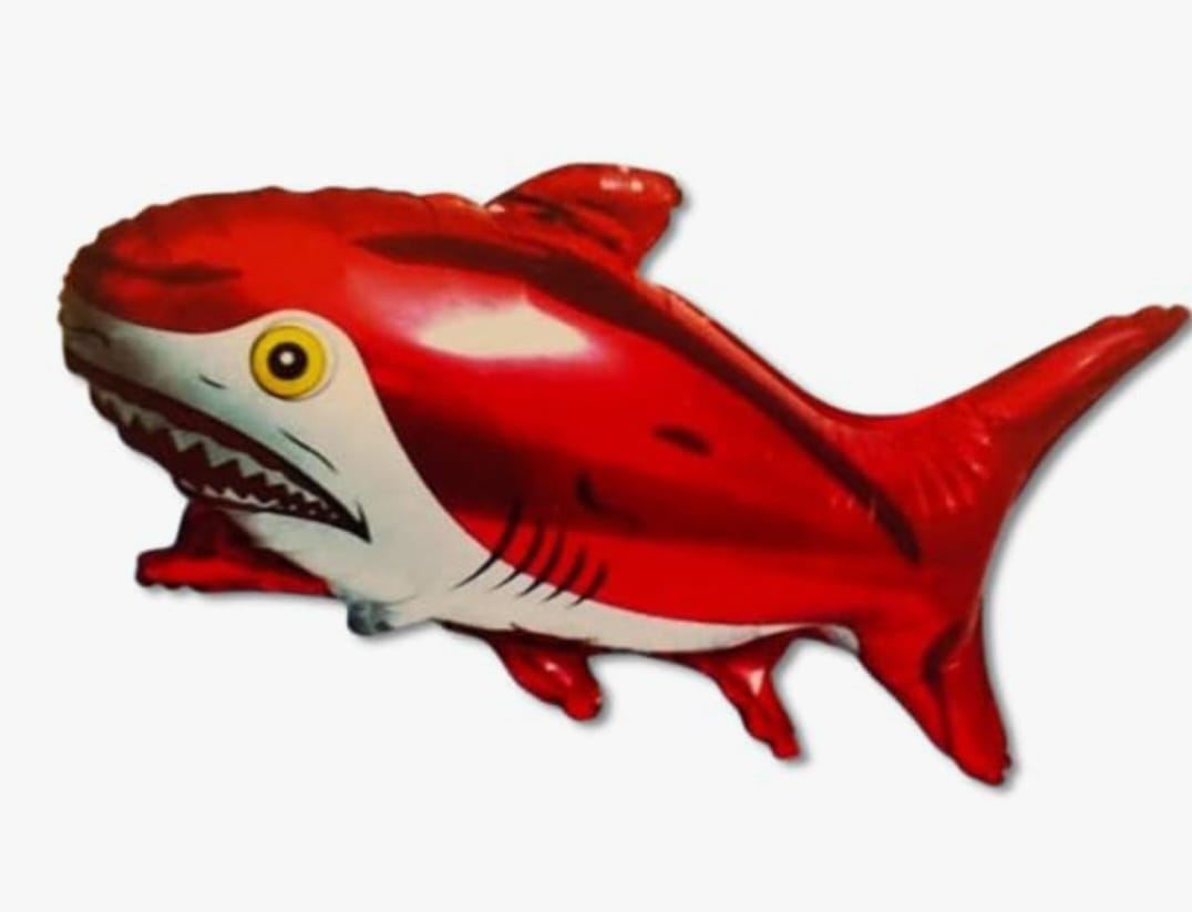 Shark