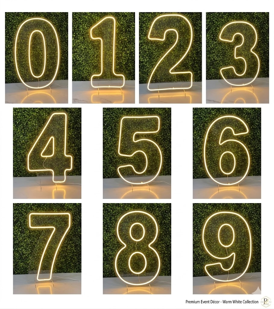 Neon Number 22inch