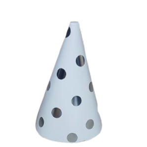  Foiling Cap