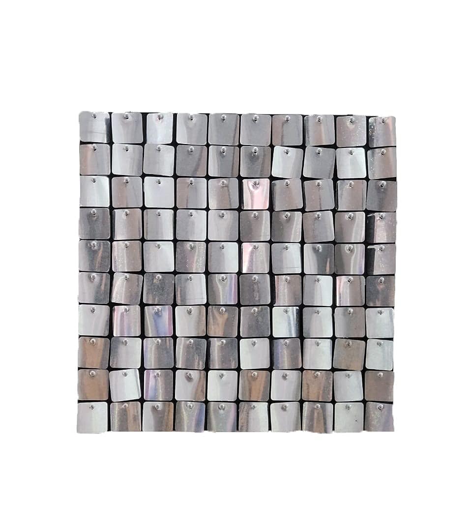 Sequin Panels Silver 
